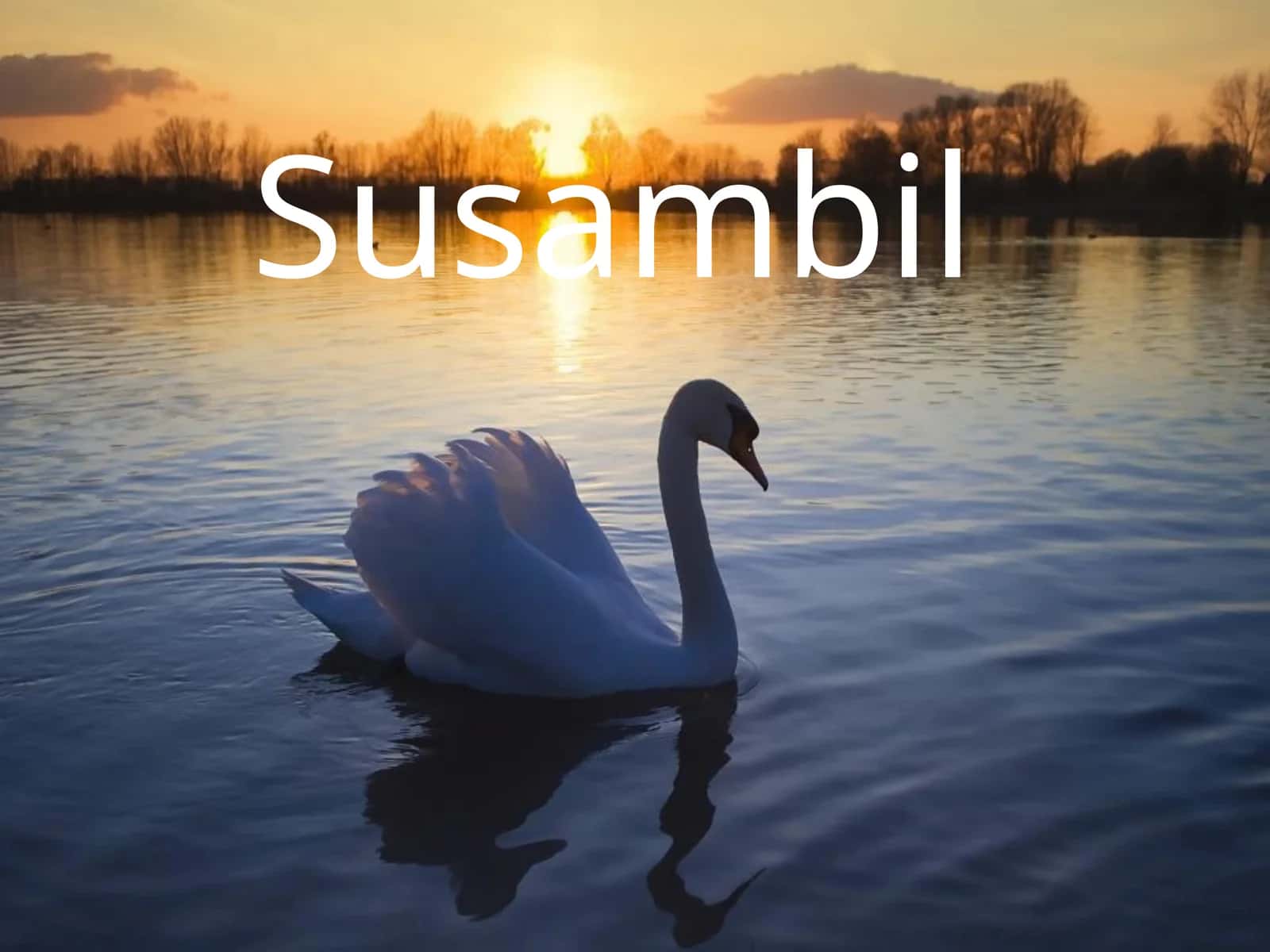 Susambil