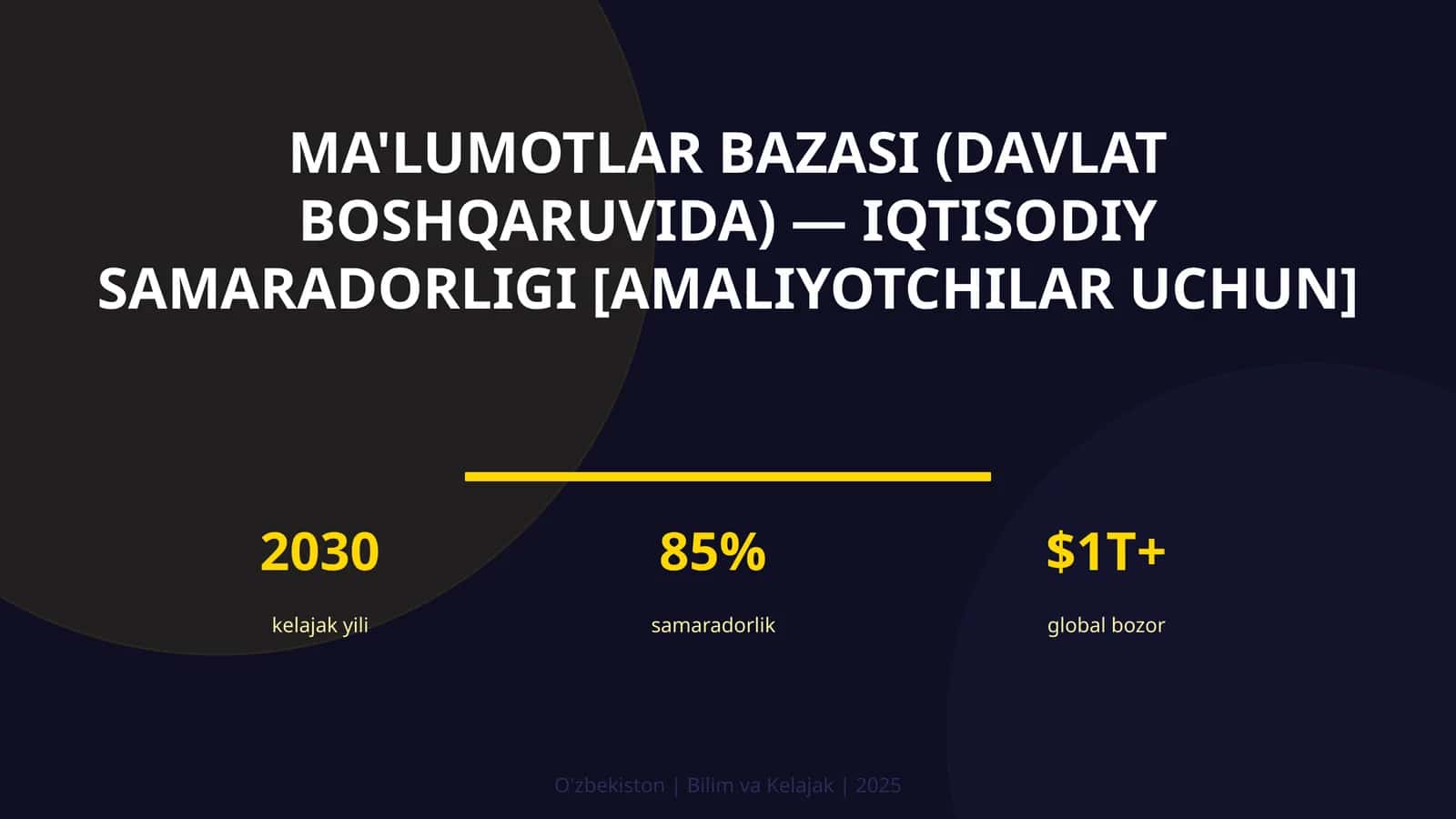Ma'lumotlar bazasi (davlat boshqaruvida) — iqtisodiy samaradorligi [amaliyotchilar uchun]