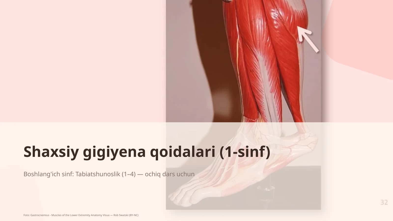 Shaxsiy gigiyena qoidalari (1-sinf)