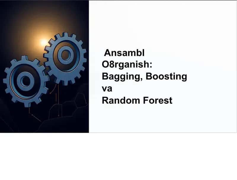 Ansambl O'rganish