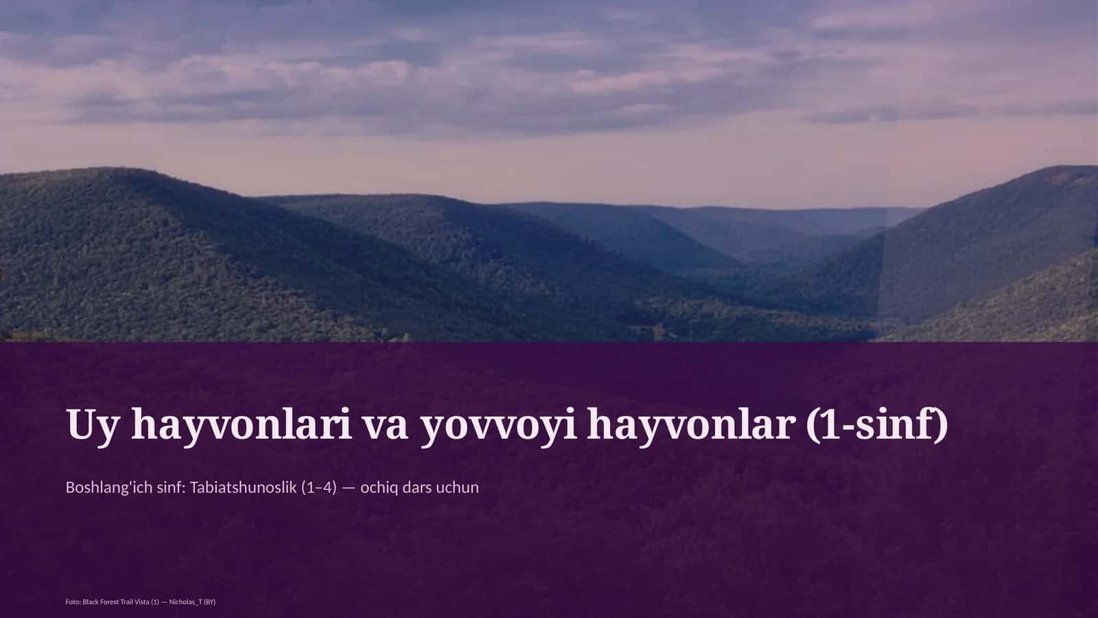Uy hayvonlari va yovvoyi hayvonlar (1-sinf)