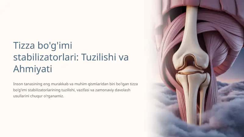 Tizza bo'g'imi stabilizatorlari: Tuzilishi va Ahmiyati