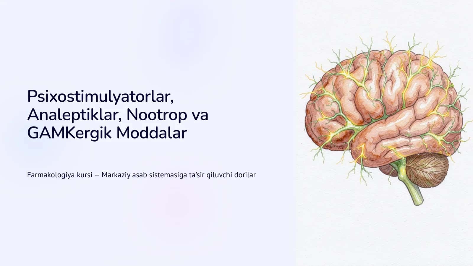 Psixostimulyatorlar, Analeptiklar, Nootrop va GAMKergik Moddalar