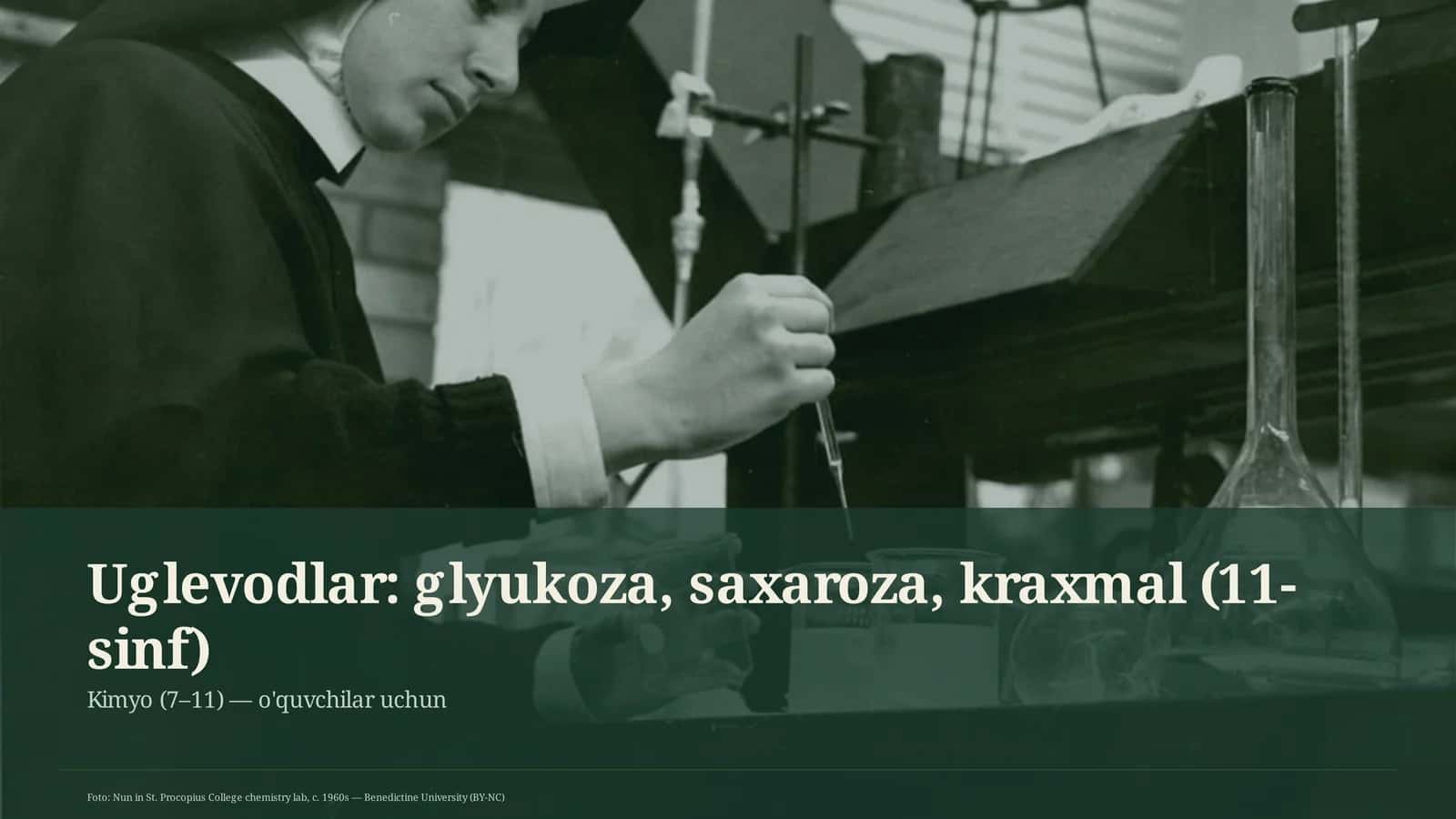 Uglevodlar: glyukoza, saxaroza, kraxmal (11-sinf)