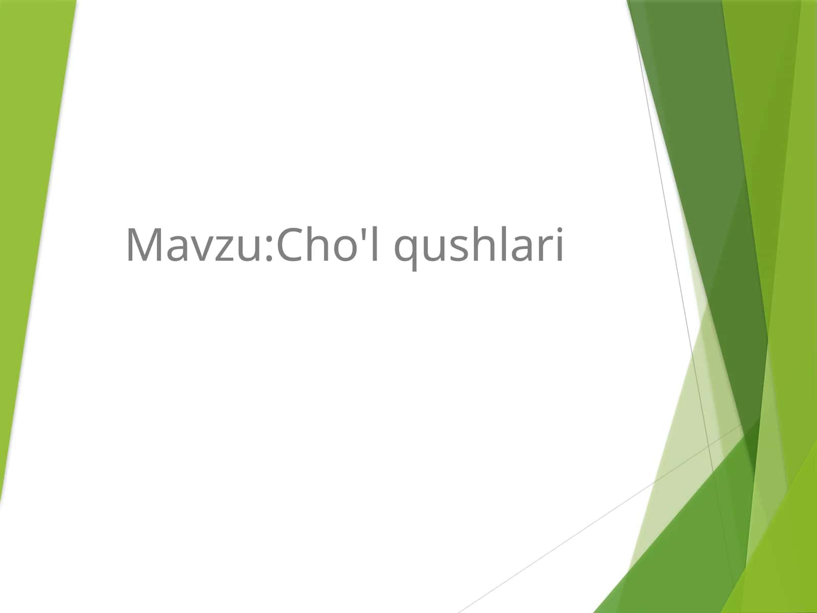Cho'lqushlari