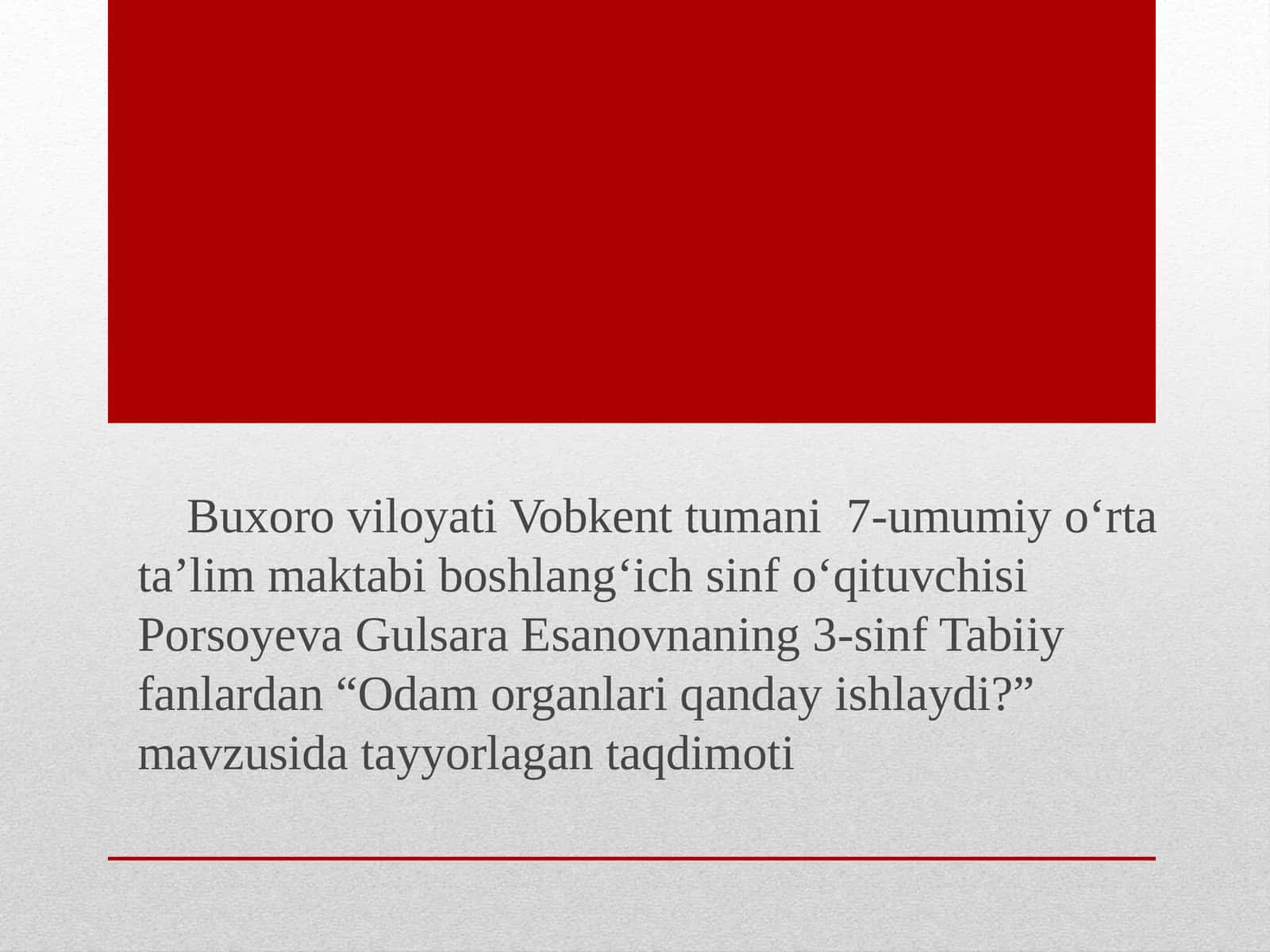 Odam Organlari Qanday Ishlaydi?