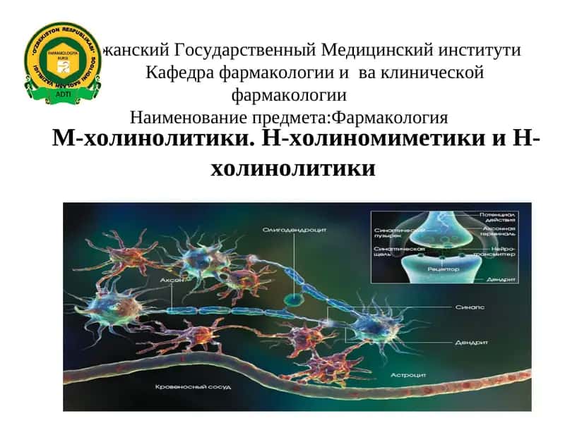 М-холинолитики. Н-холиномиметики и Н-холинолитики