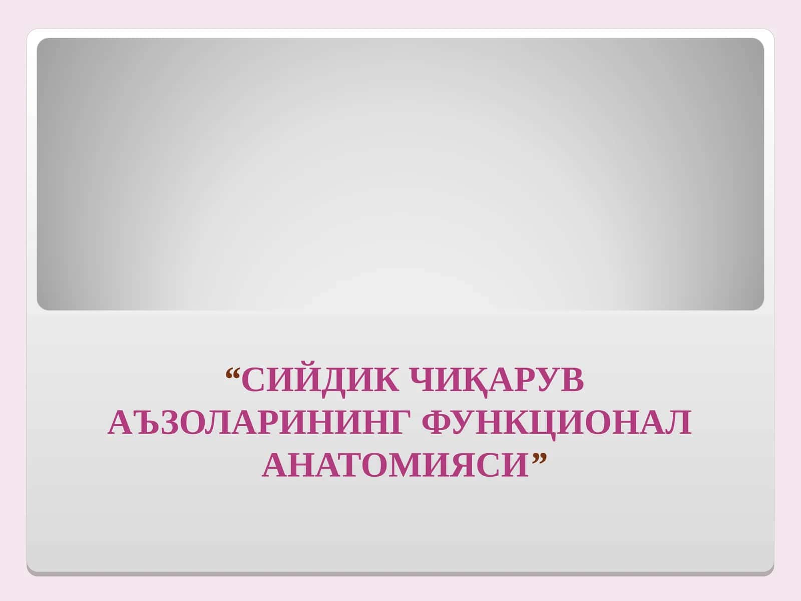 СИЙДИК ЧИҚАРУВ АЪЗОЛАРИНИНГ ФУНКЦИОНАЛ АНАТОМИЯСИ