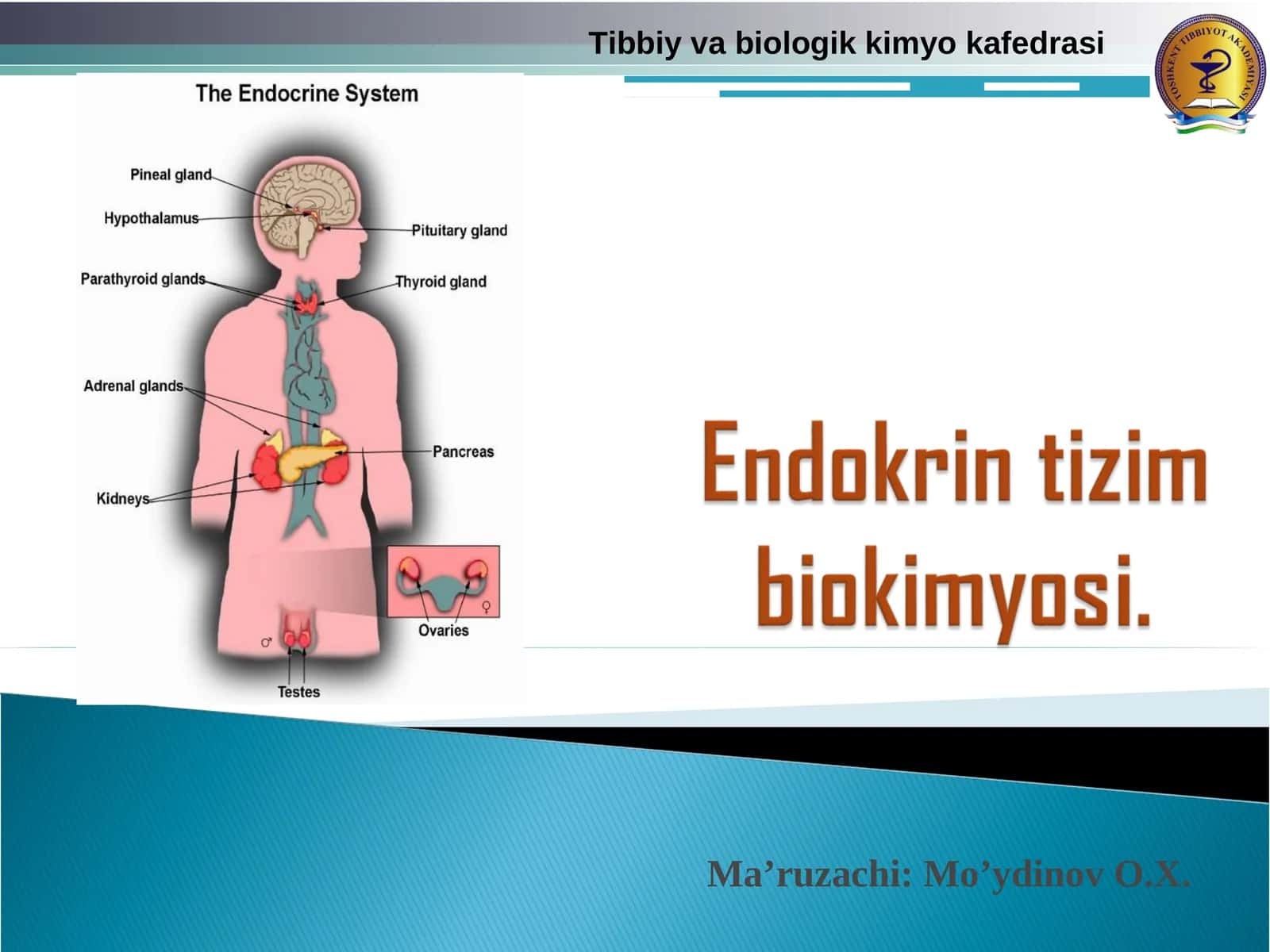 Tibbiy va biologik kimyo kafedrasi