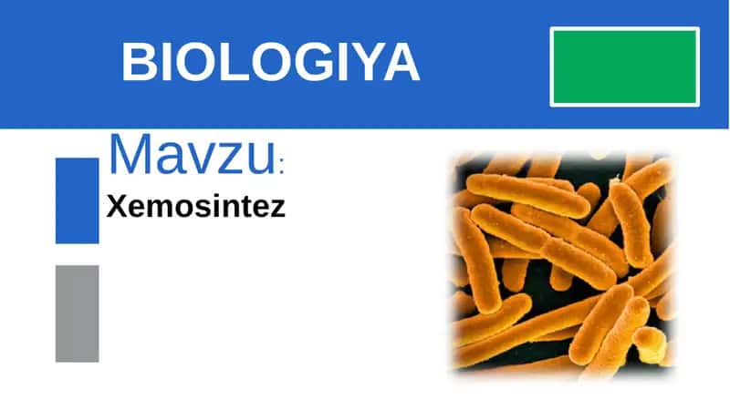 Xemosintez