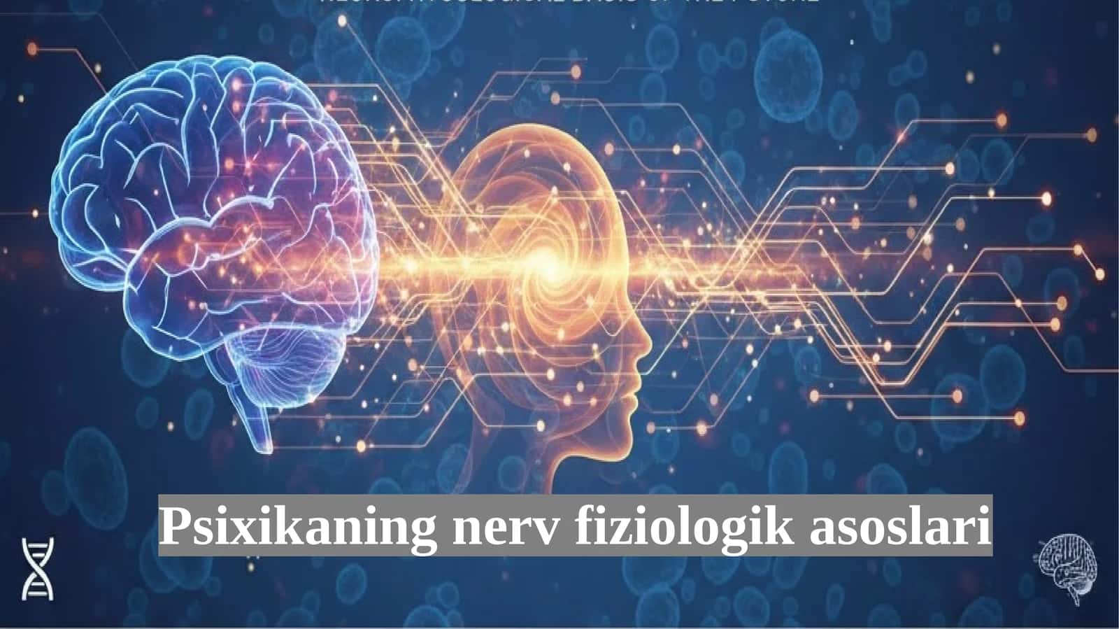 Psixikaning nerv fiziologik asoslari.