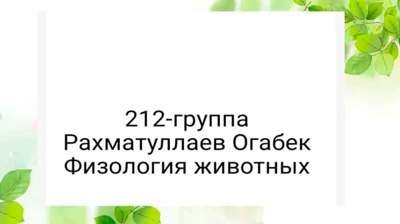 Влияние содержание и кормление животных на количество и качество молоко