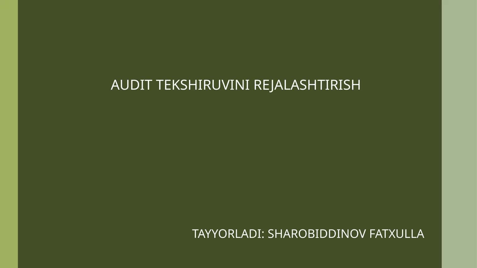 Audit Tekshiruvi Rejalashtirish