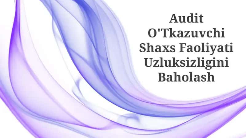Audit O'Tkazuvchi Shaxs Faoliyati Uzluksizligini Baholash