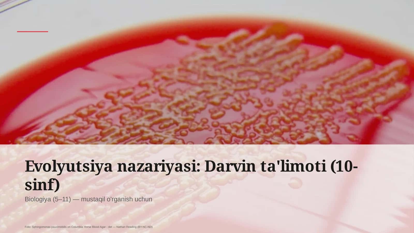 Evolyutsiya nazariyasi: Darvin ta'limoti (10-sinf)