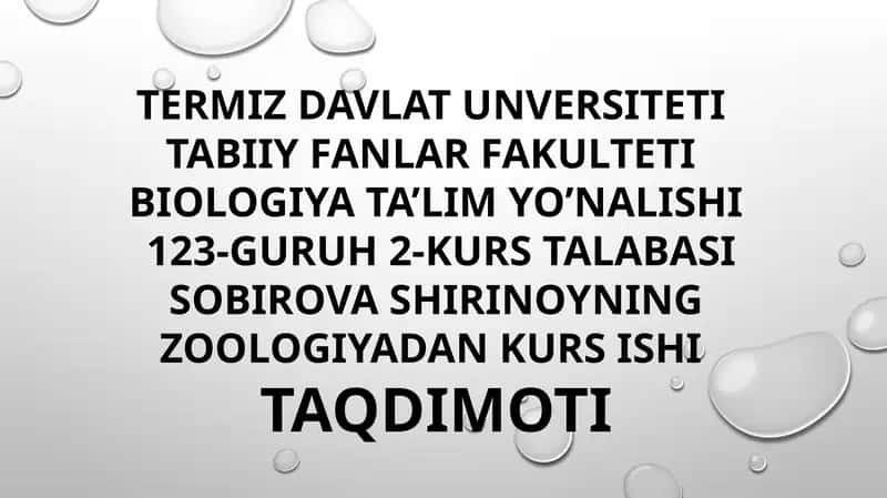 Sutemuzuvchilar haqida umumiy tushuncha