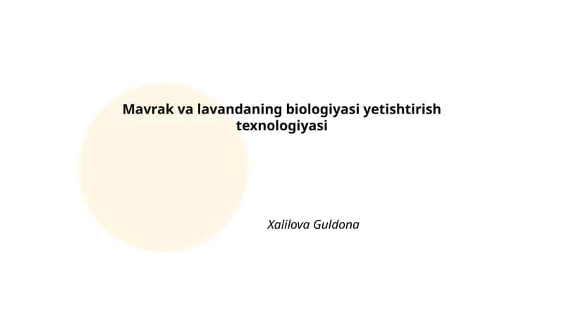 Mavrak va lavandaning biologiyasi yetishtirish texnologiyasi