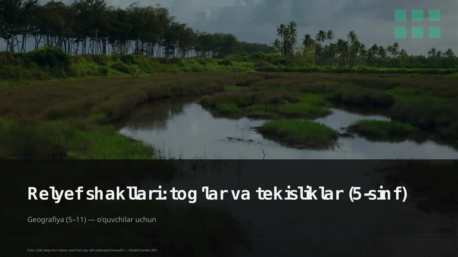 Relyef shakllari: tog'lar va tekisliklar (5-sinf)