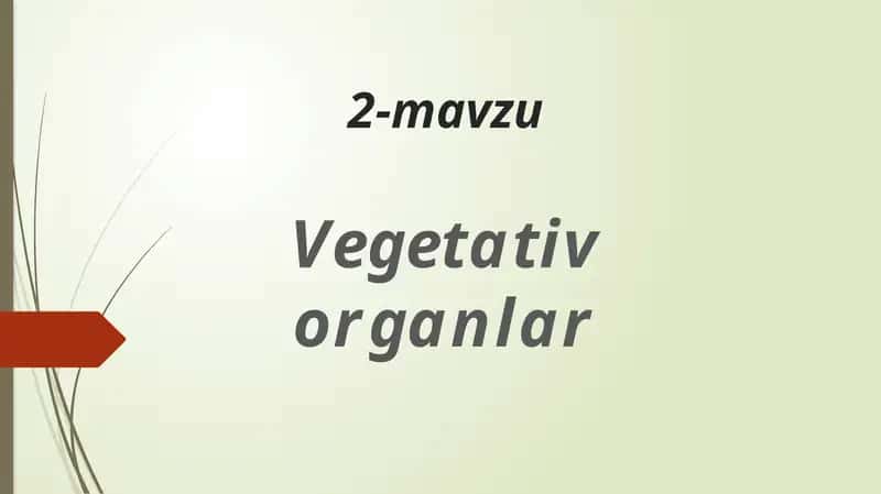 Vegetativ organlar