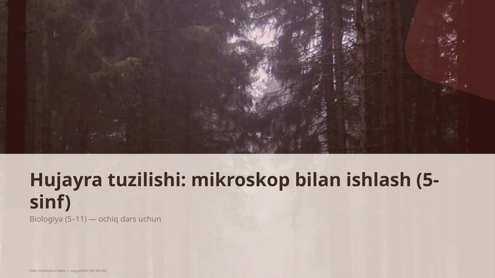 Hujayra tuzilishi: mikroskop bilan ishlash (5-sinf)