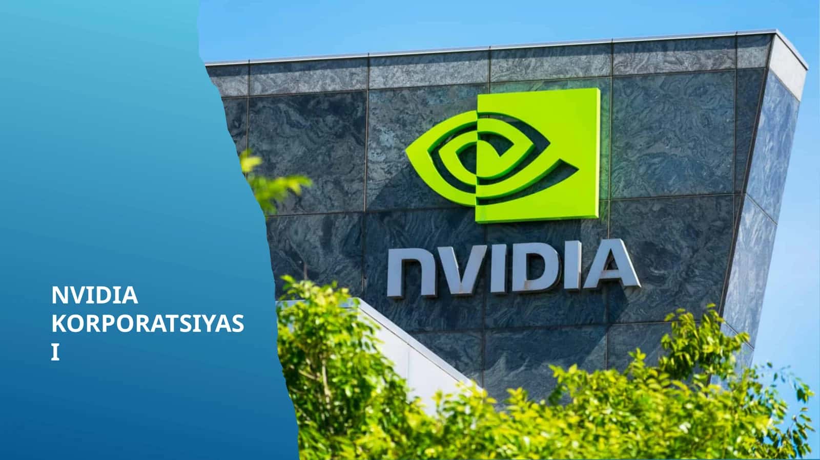 NVIDIA KORPORATSIYASI