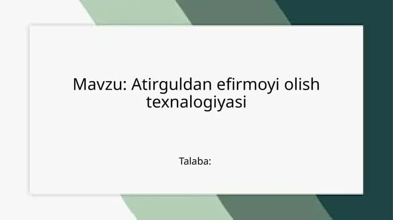 Atirguldan efirmoyi olish texnalogiyasi 1