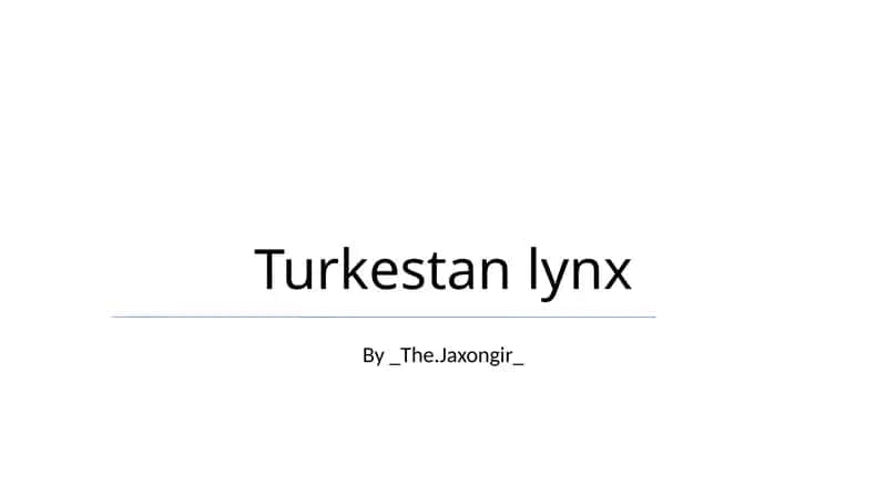 Turkestan lynx