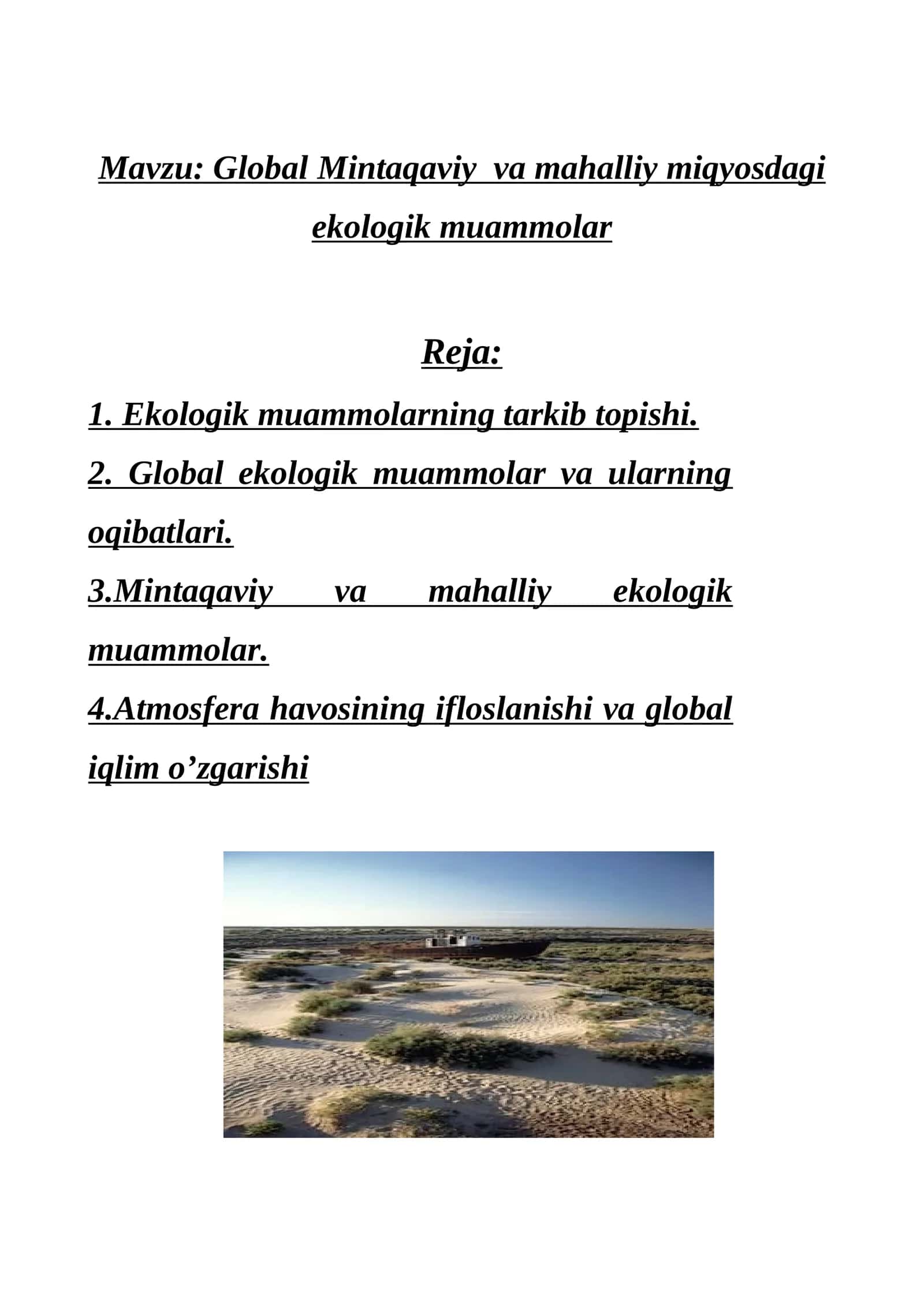 Global Mintaqaviy va mahalliy miqyosdagi ekologik muammolar