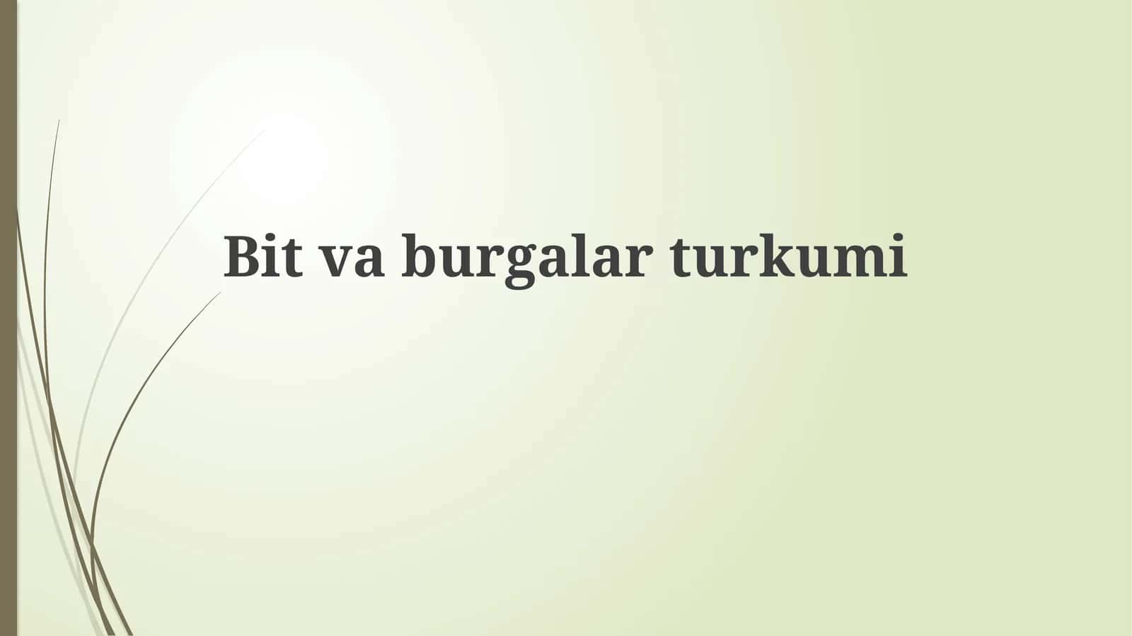 Bitlar va burgalar: umumiy ko'rinish
