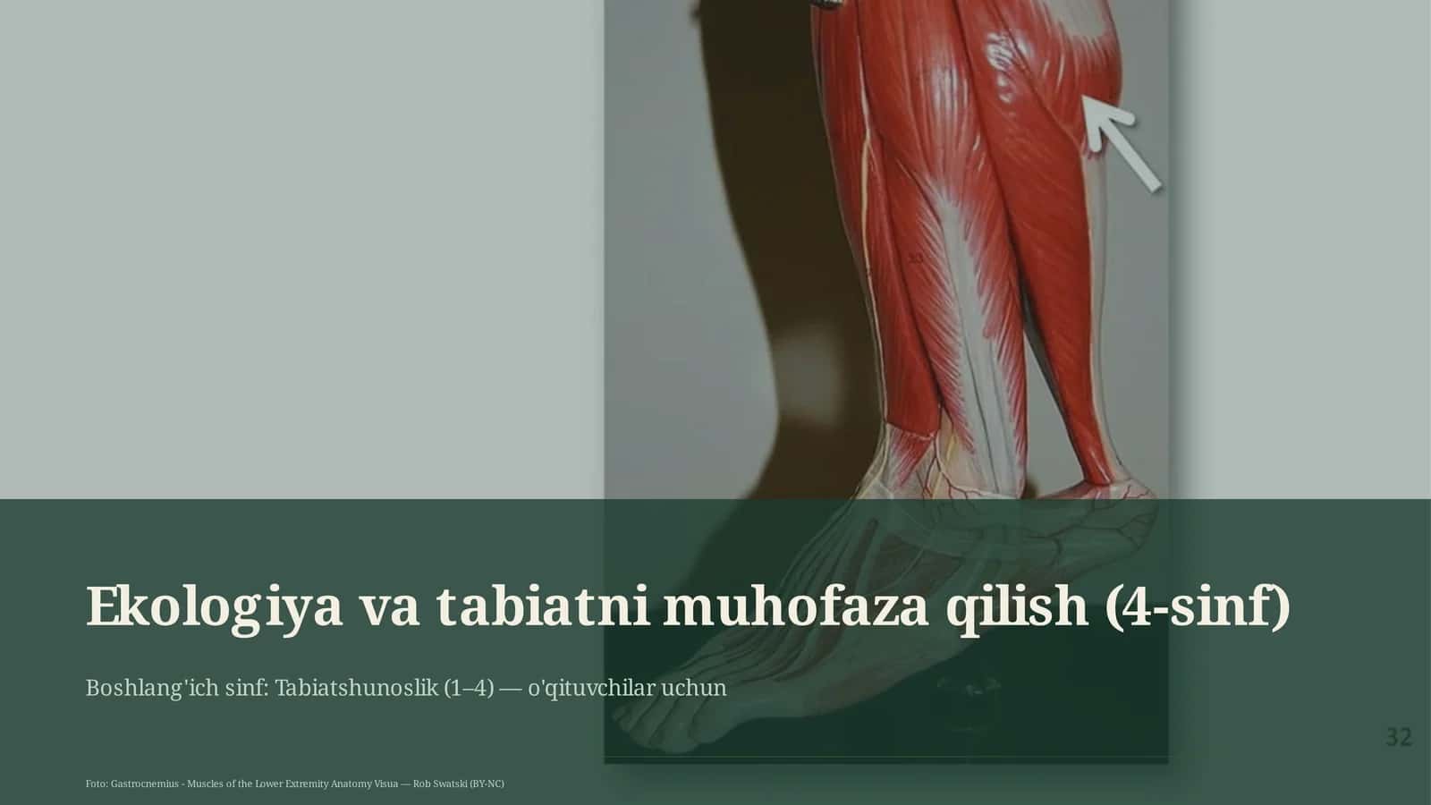 Ekologiya va tabiatni muhofaza qilish (4-sinf)