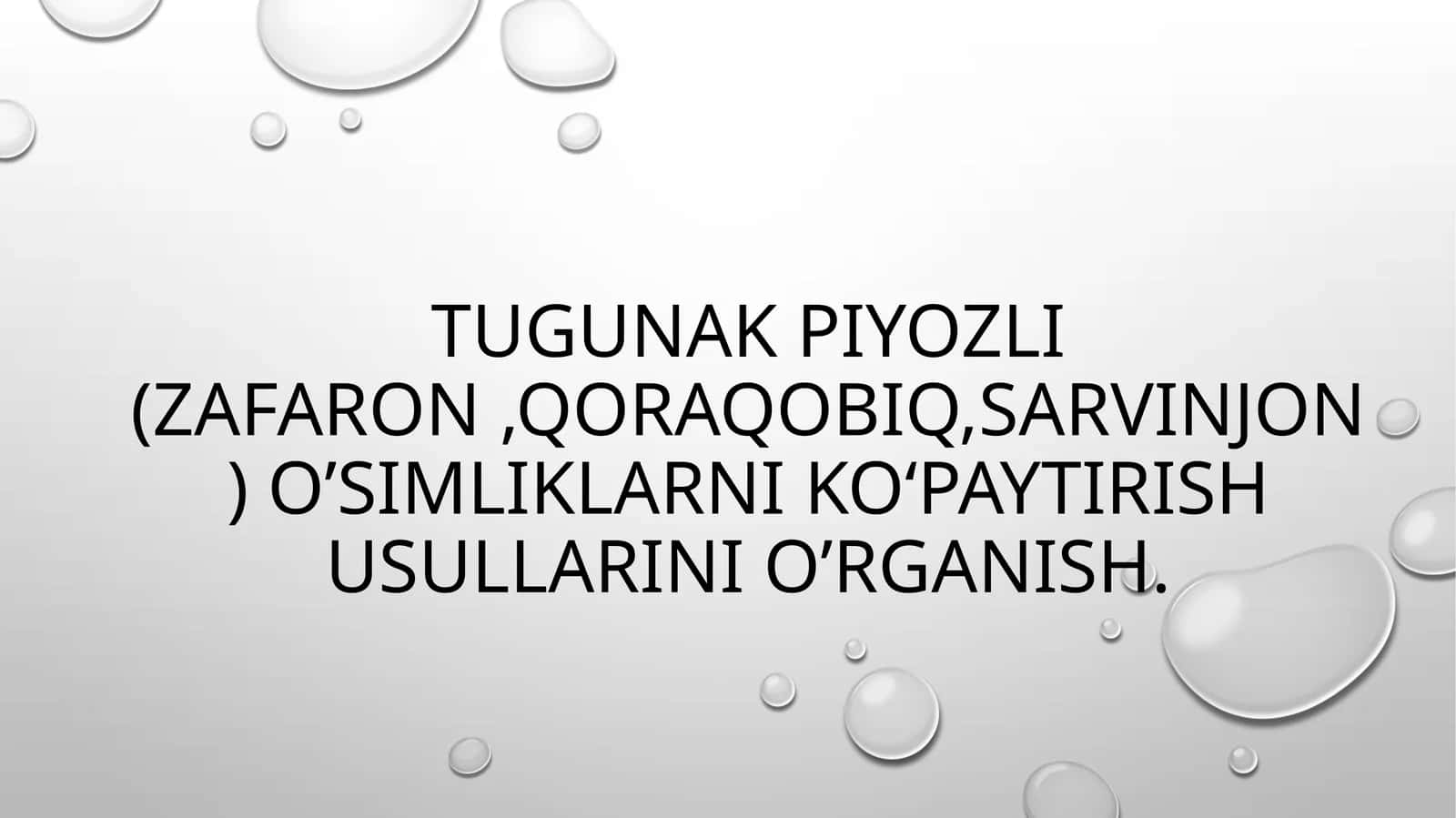 Tugunak piyozli (Zafaron,qoraqobiq,Sarvinjon) o’simliklar
