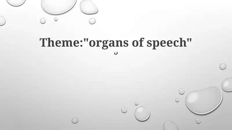 Organs of Speech
