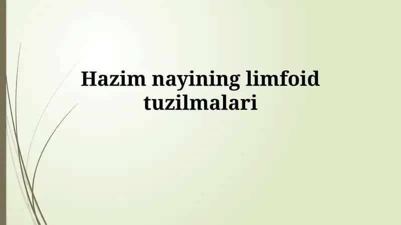 Hazim nayininglimfoidtuzilmalari