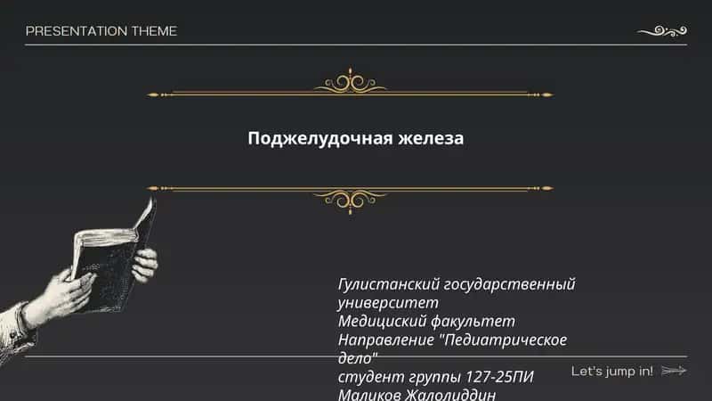 Поджелудочная железа