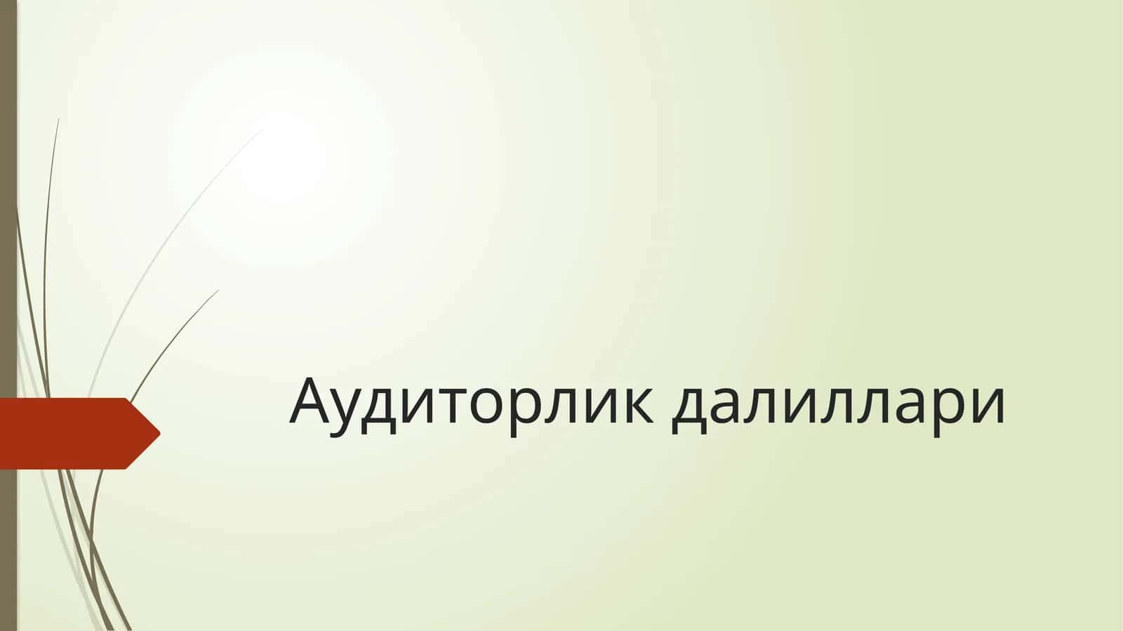 Аудиторлик далиллари
