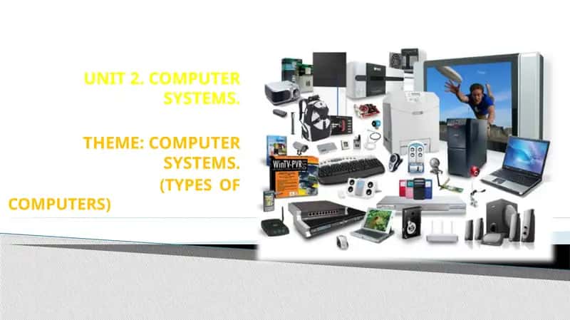 COMPUTER SYSTEMS