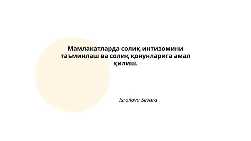 Солиқ назорати тизимлари
