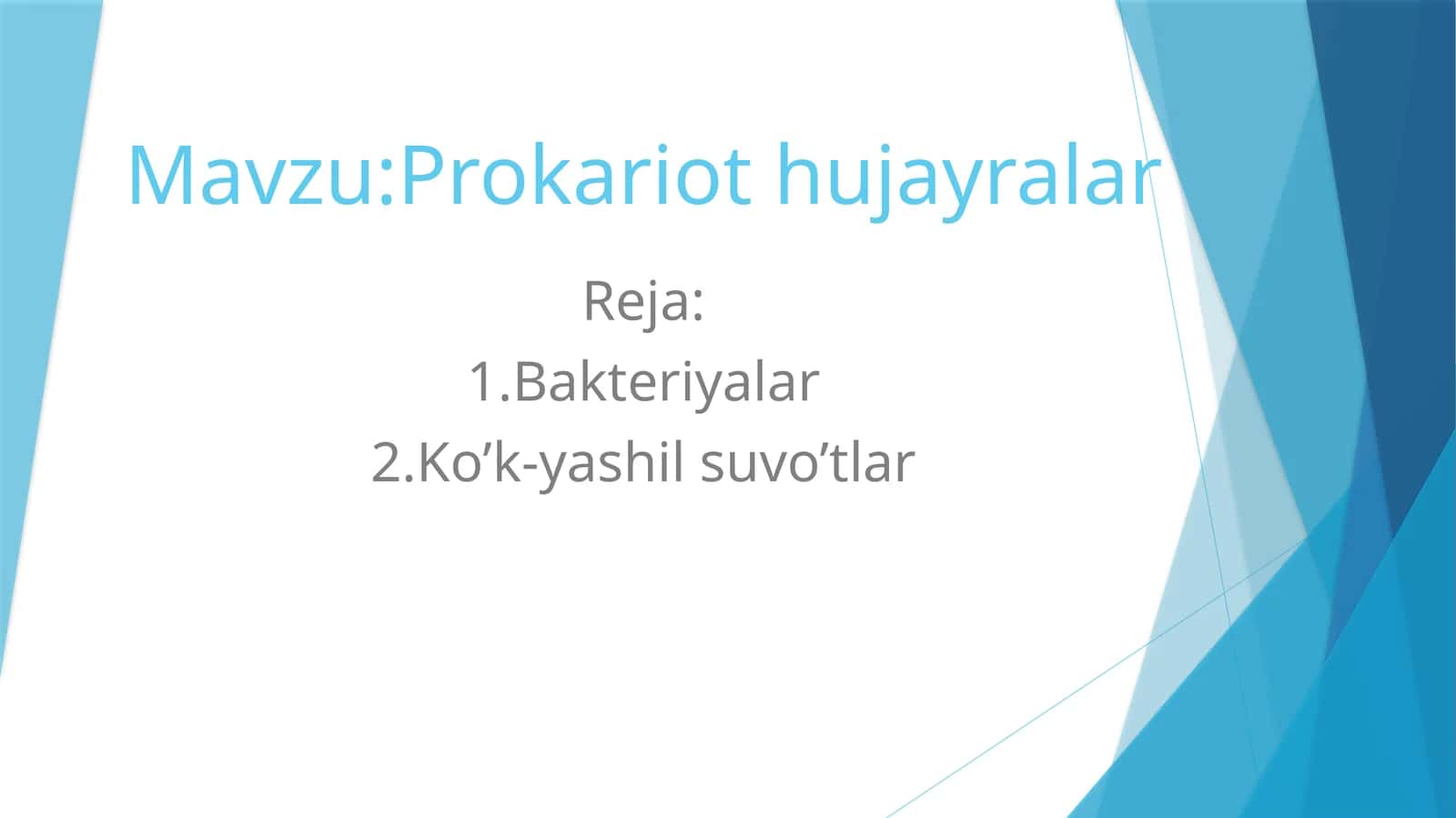 Prokariothujayralar