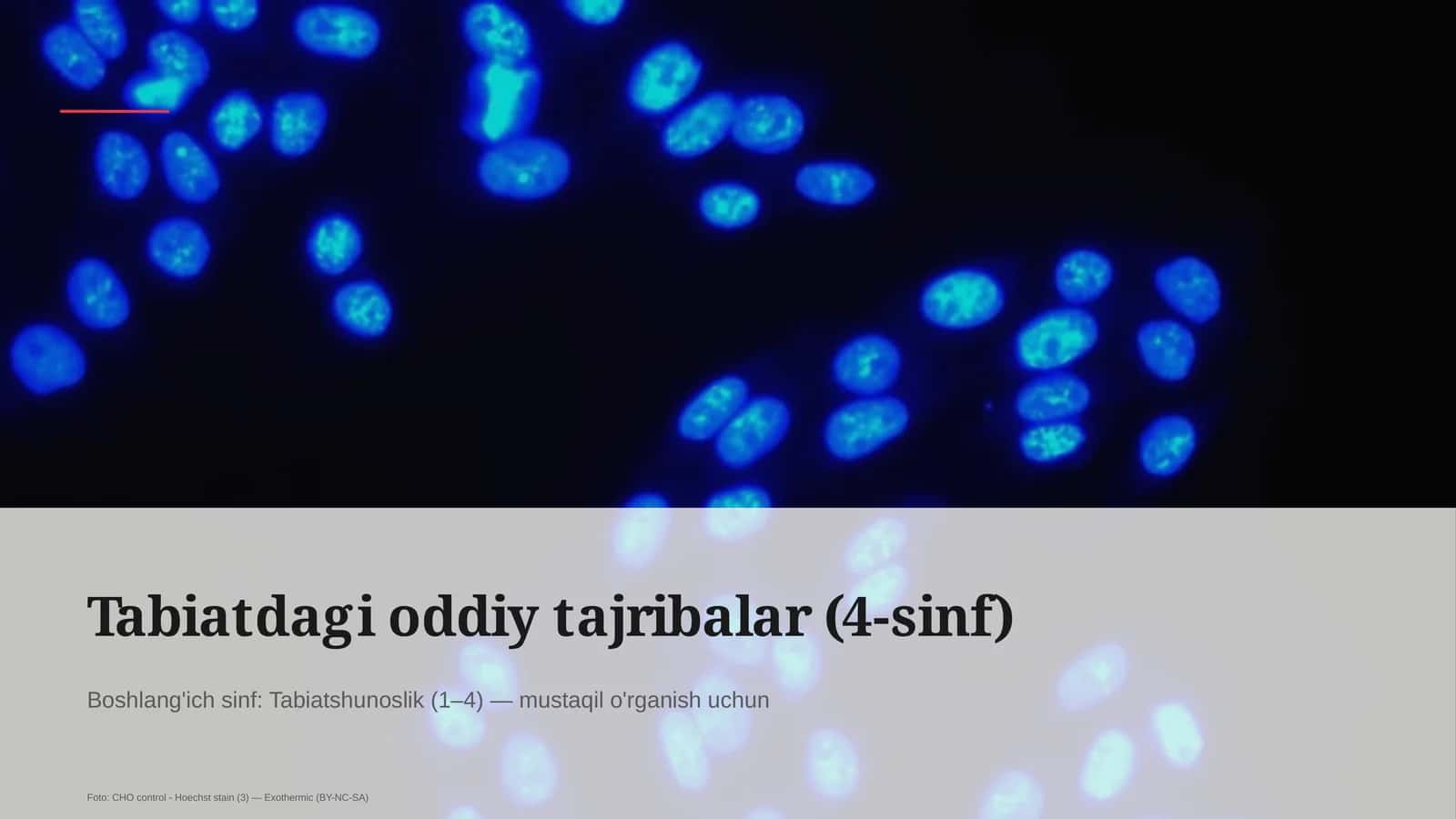 Tabiatdagi oddiy tajribalar (4-sinf)