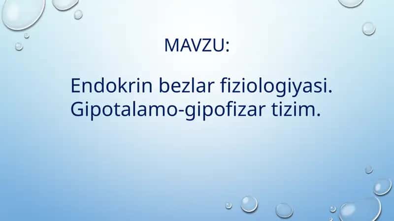 endokrin bezlar, gipotalamo gipofizar sistema
