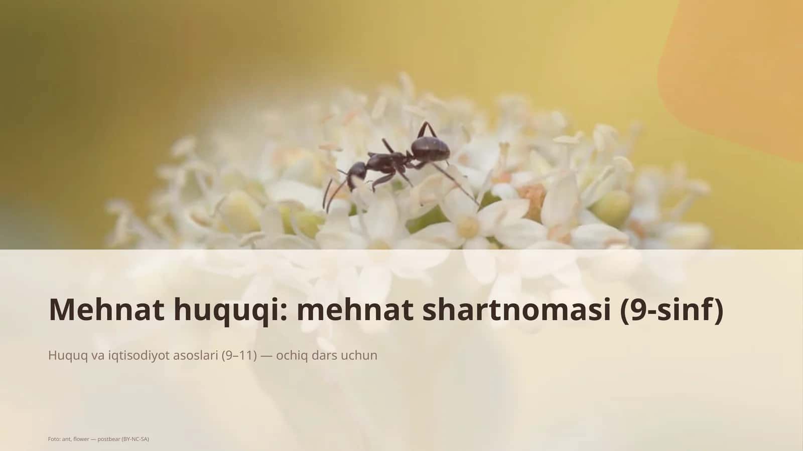 Mehnat huquqi: mehnat shartnomasi (9-sinf)