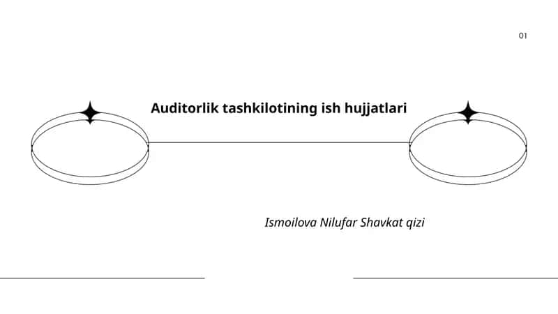 Auditorlik ish hujjatlari