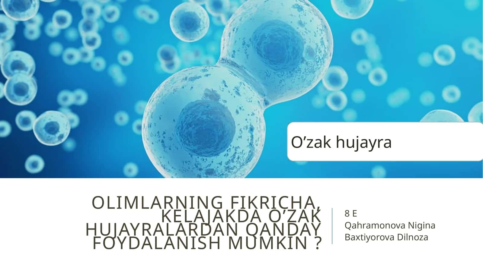 O'zak hujayralar haqida olimlarning fikri