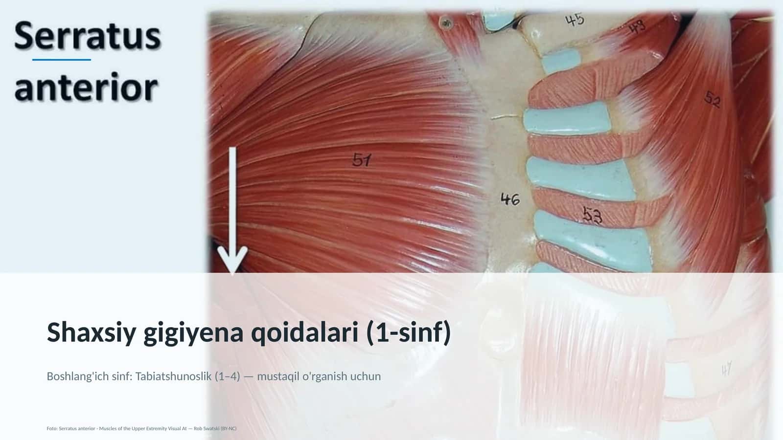 Shaxsiy gigiyena qoidalari (1-sinf)