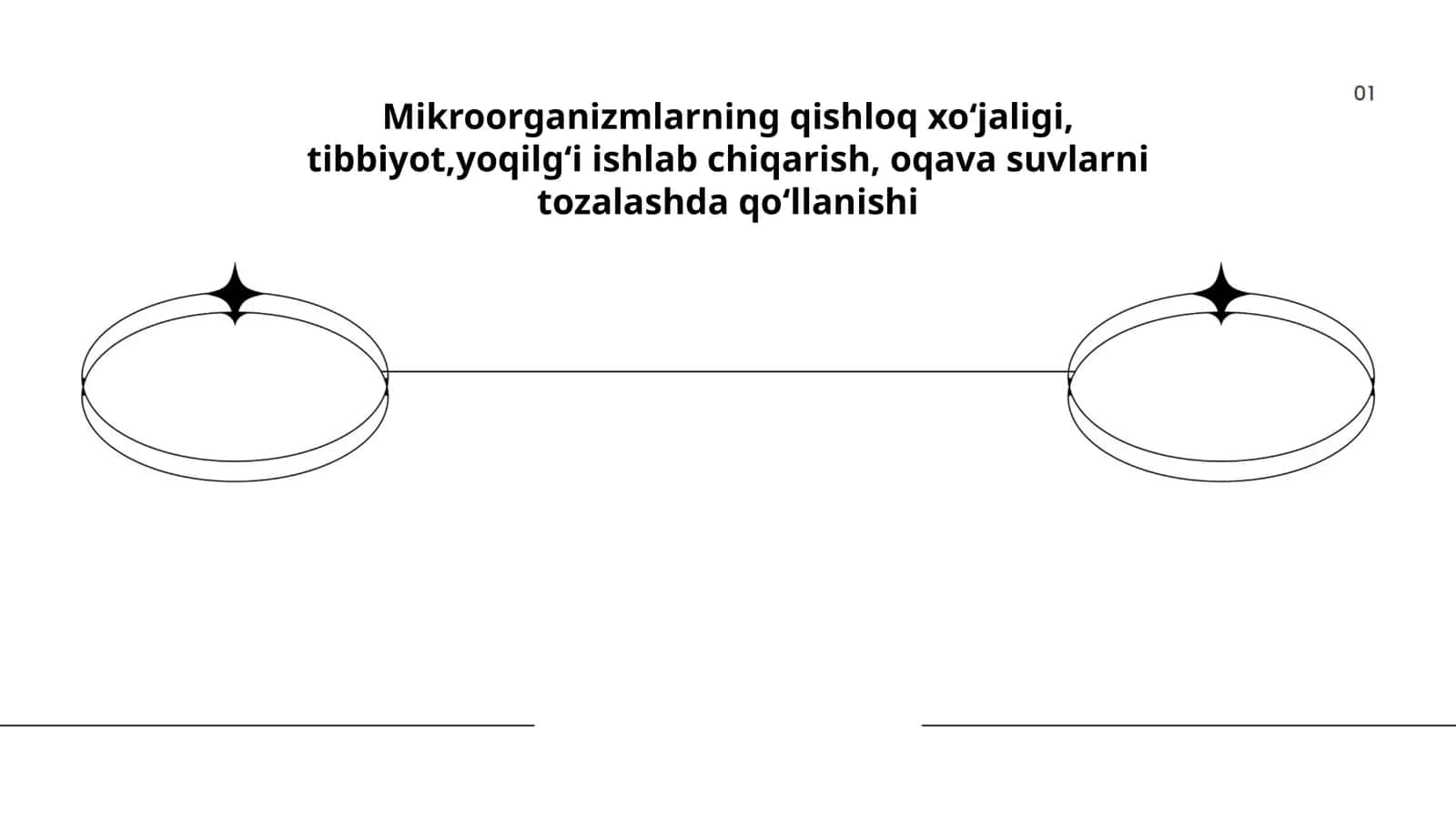 Mikroorganizmlarning qishloq xoʻjaligi, tibbiyot,yoqilgʻi ishlab chiqarish, oqava suvlarni tozalashda qoʻllanishi