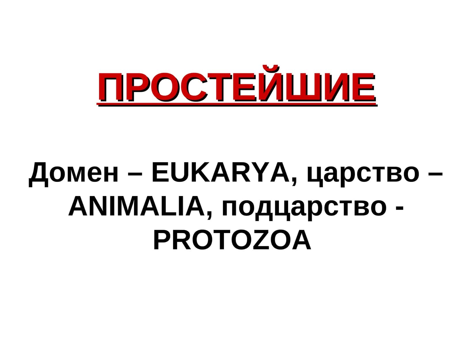 Простейшие