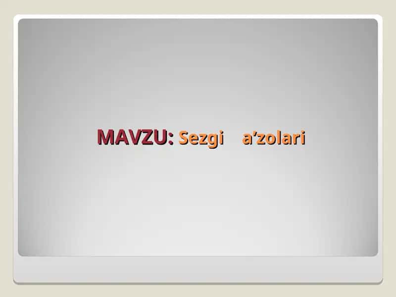 Sezgi a’zolari