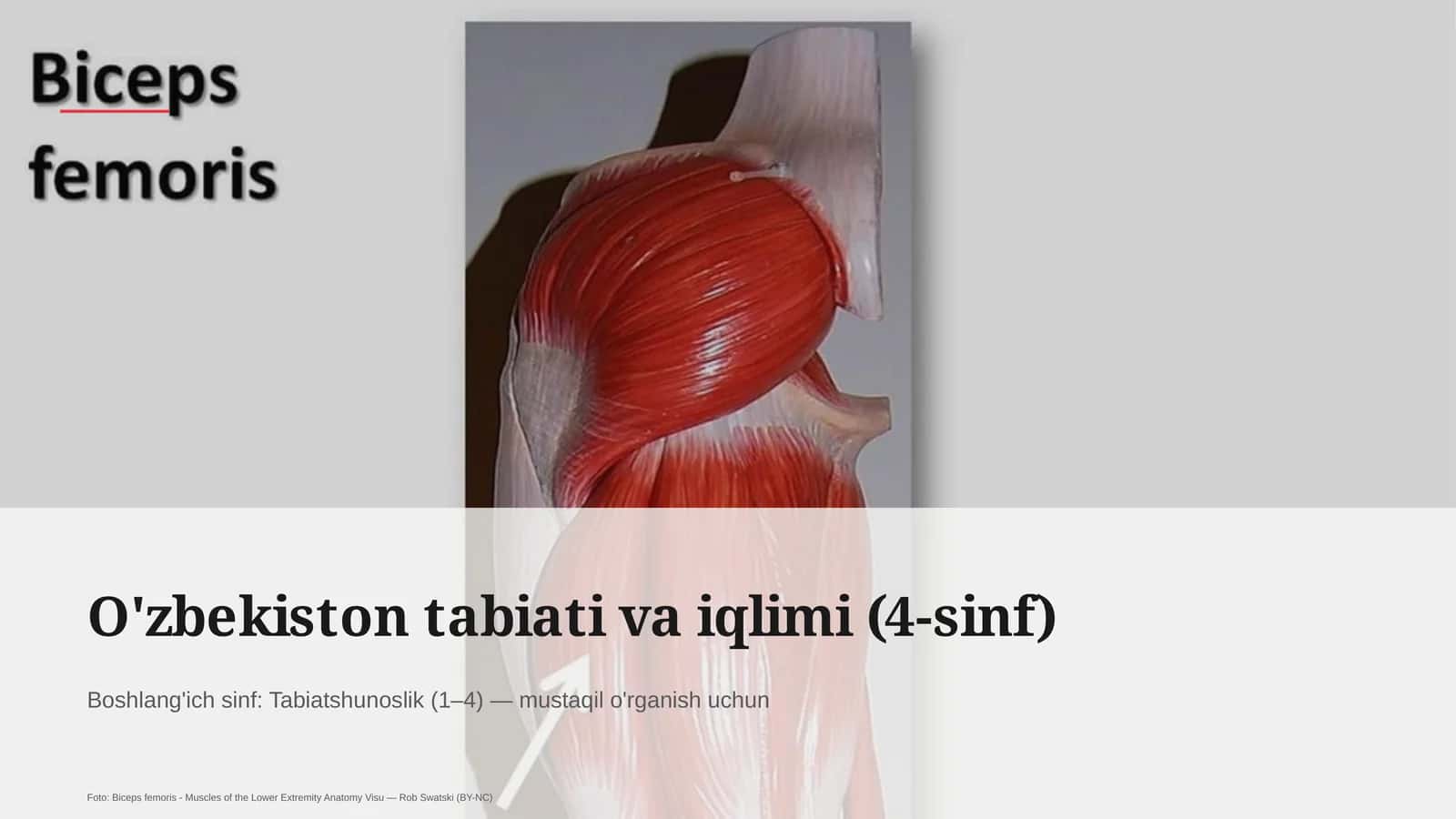 O'zbekiston tabiati va iqlimi (4-sinf)