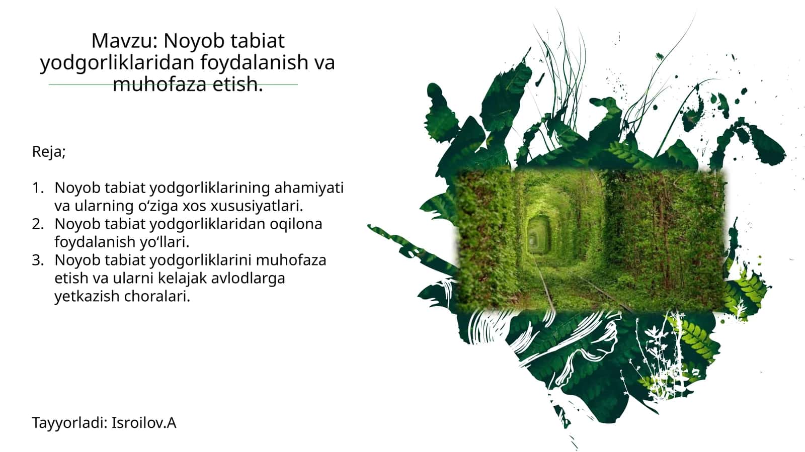 Noyob tabiatyodgorliklari
