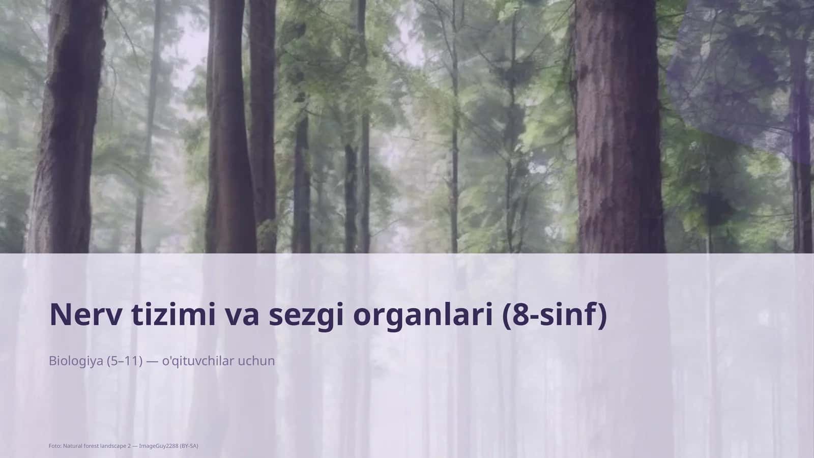 Nerv tizimi va sezgi organlari (8-sinf)